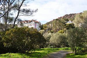 a007- Agay igesa